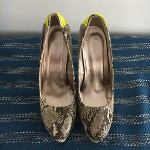 ShoeDazzle - Danae Snake 8.5